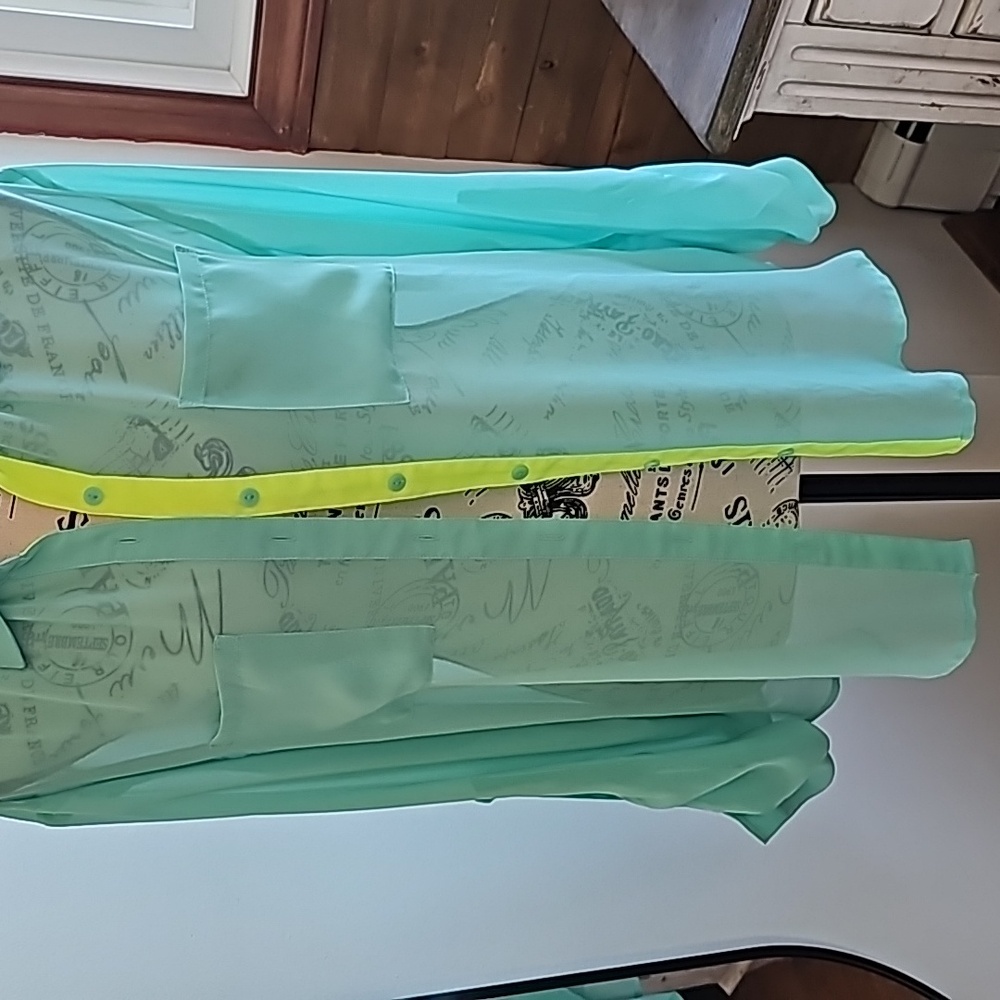 Sheer Blouse